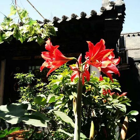 Pingyao Tian Yi Hostel Екстериор снимка